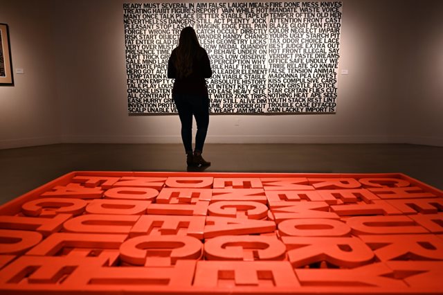 A visitor silhouetted against an abstract art piece