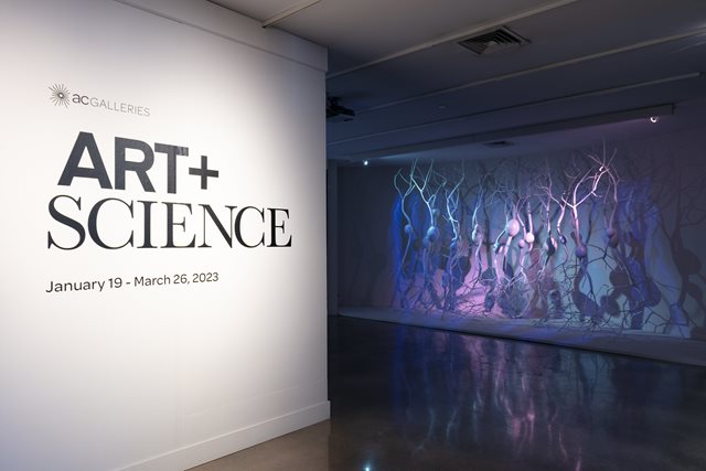 Art + Science